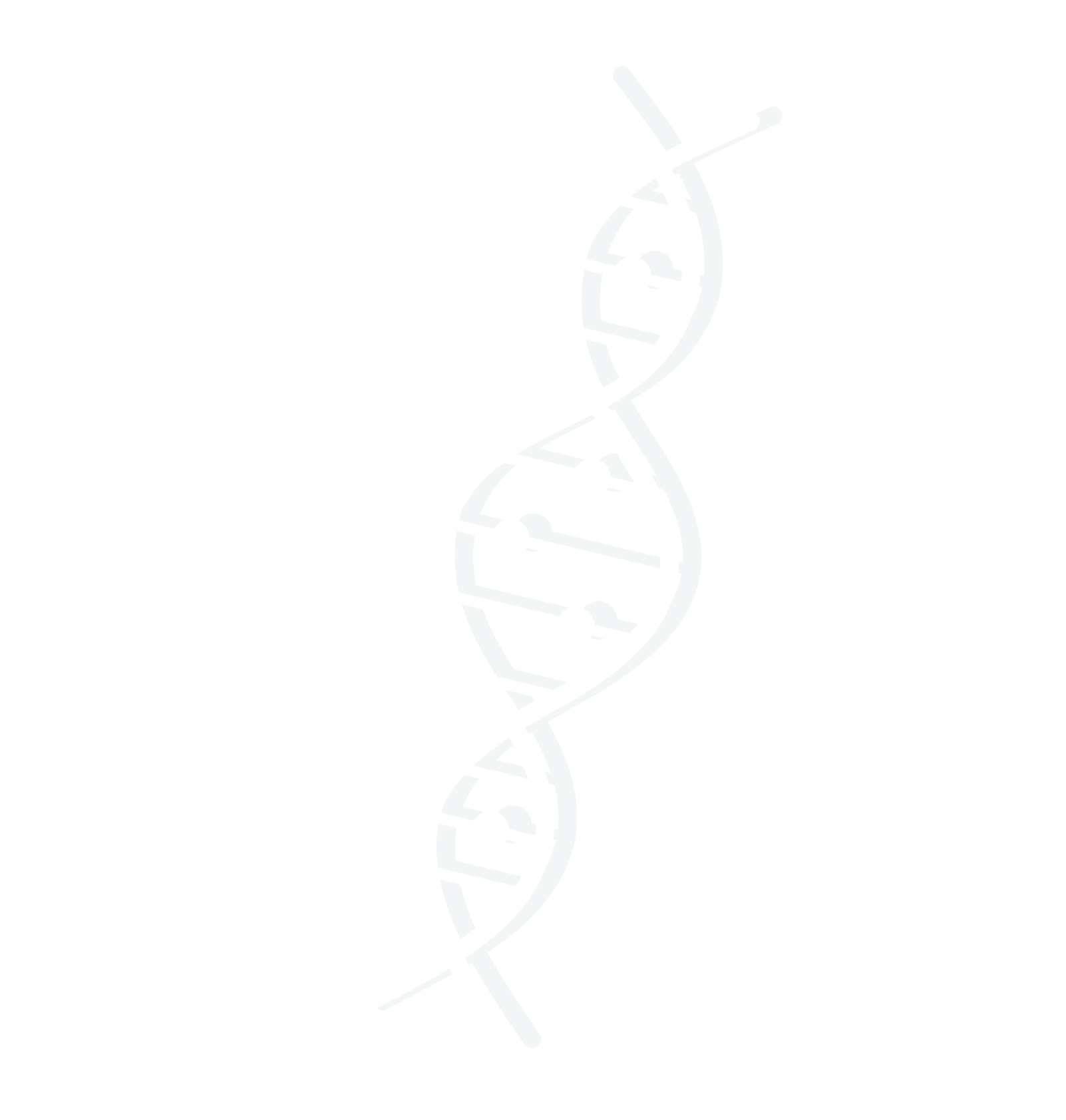 Reticulocyte Count (RTC)